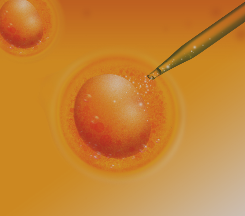 胚盤胞培養